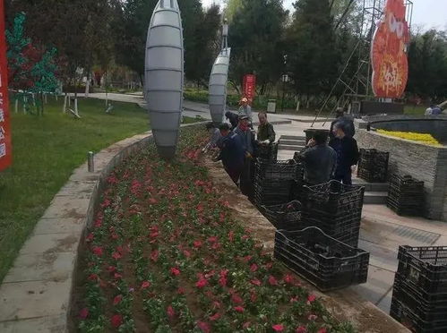 城市建設中心 全力推進春季園林綠化工作