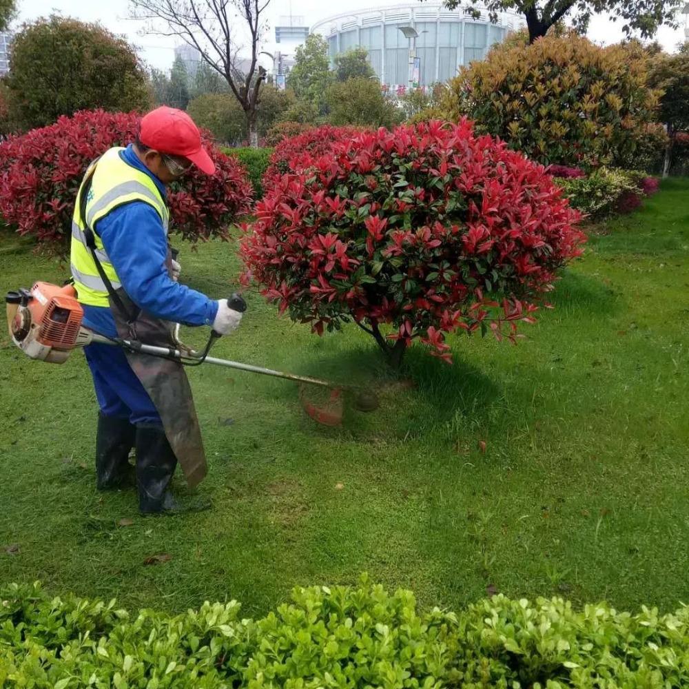 綠化養(yǎng)護-園林綠化-景觀設(shè)計-廣東怡軒園林環(huán)境工程