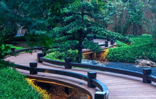 喜訊 國(guó)貿(mào).前海灣榮獲 省園林綠化優(yōu)質(zhì)工程