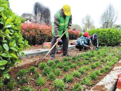 趙苑公園積極開(kāi)展春季綠化