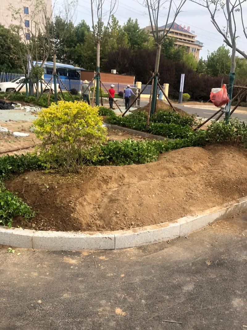 園林綠化工程 #小區(qū)綠化 #花園施工 #庭院景觀設計 #景