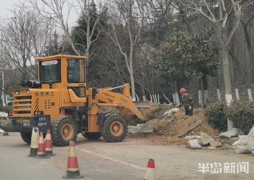 青島市區(qū)園林綠化工程有序復工，施工人員忙碌建設美麗家園